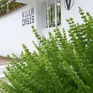 Oasis , Berat Albanië